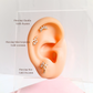 Piercing Claudia - Gold - 8x4mm