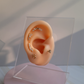 Piercing Mini Serpiente - Gold - 10x6mm